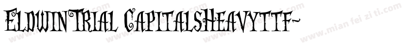 EldwinTrial CapitalsHeavyttf字体转换